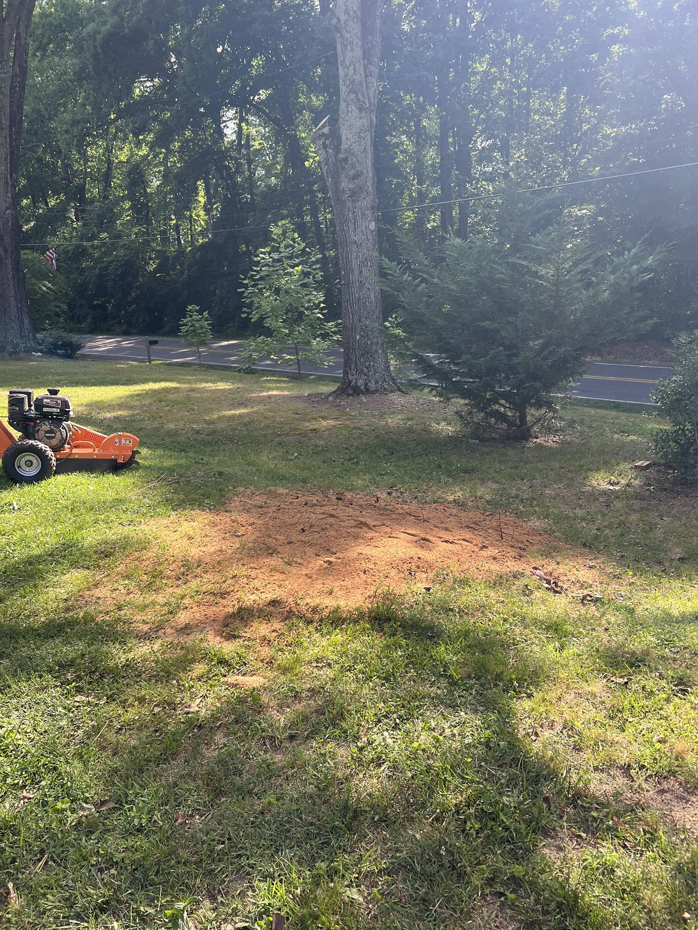 Gallery | LKN Stump Grinding